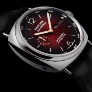 【7A Quality】Panerai Radiomir Annual Calendar Platinumtech™ Experience 45mm PAM01432
