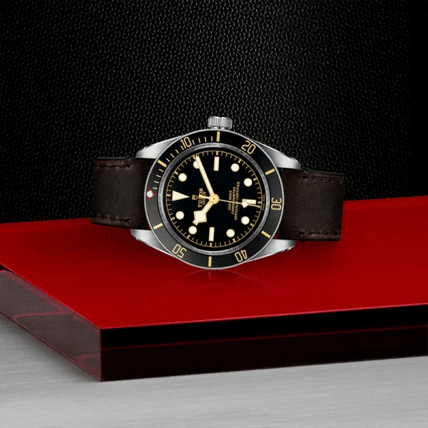 【7A Quality】TUDOR Black Bay 58 39mm Black Dial & Bezel Automatic Strap Watch M79030N-0002