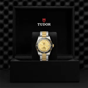 【7A Quality】TUDOR Black Bay S&G 41mm Champagne Dial Automatic Men's Bracelet Watch M79733N-0004