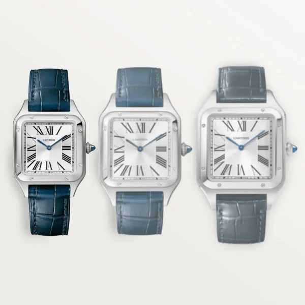 CARTIER SANTOS-DUMONT Small Model Blue Strap WSSA0023 - United Luxury